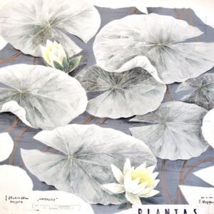 "Waterlily" - Entwurf von Elsbeth Kupferoth