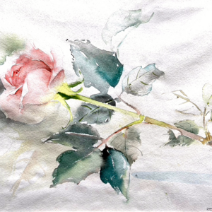 Aquarell von Elsbeth Kupferoth, 2011